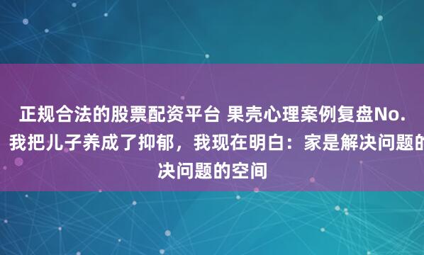 正规合法的股票配资平台 果壳心理案例复盘No.270：我把儿子养成了抑郁，我现在明白：家是解决问题的空间